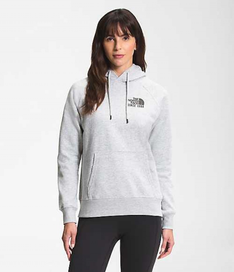 Sudadera con Capucha The North Face Mountain Mujer Gris Claro | 6012857-MX