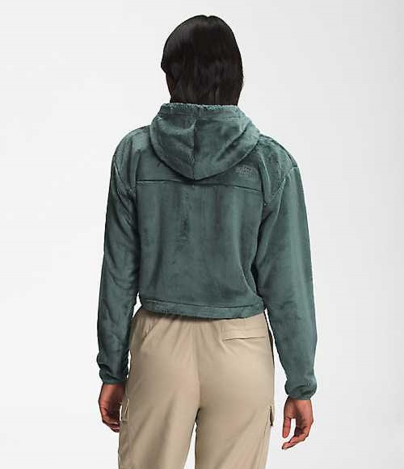 Sudadera con Capucha The North Face Osito Mujer Verde | 7368201-KO