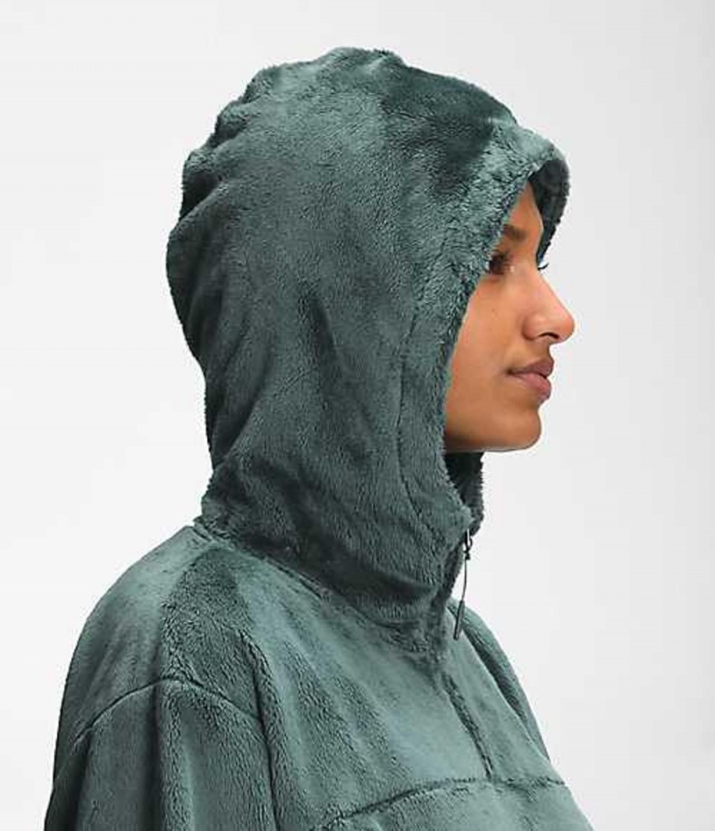 Sudadera con Capucha The North Face Osito Mujer Verde | 7368201-KO