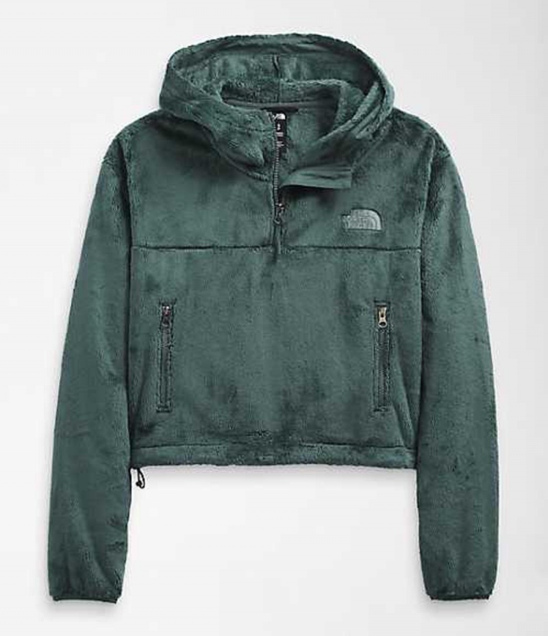 Sudadera con Capucha The North Face Osito Mujer Verde | 7368201-KO