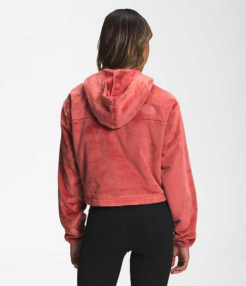 Sudadera con Capucha The North Face Osito Mujer Rosas | 4201579-NA