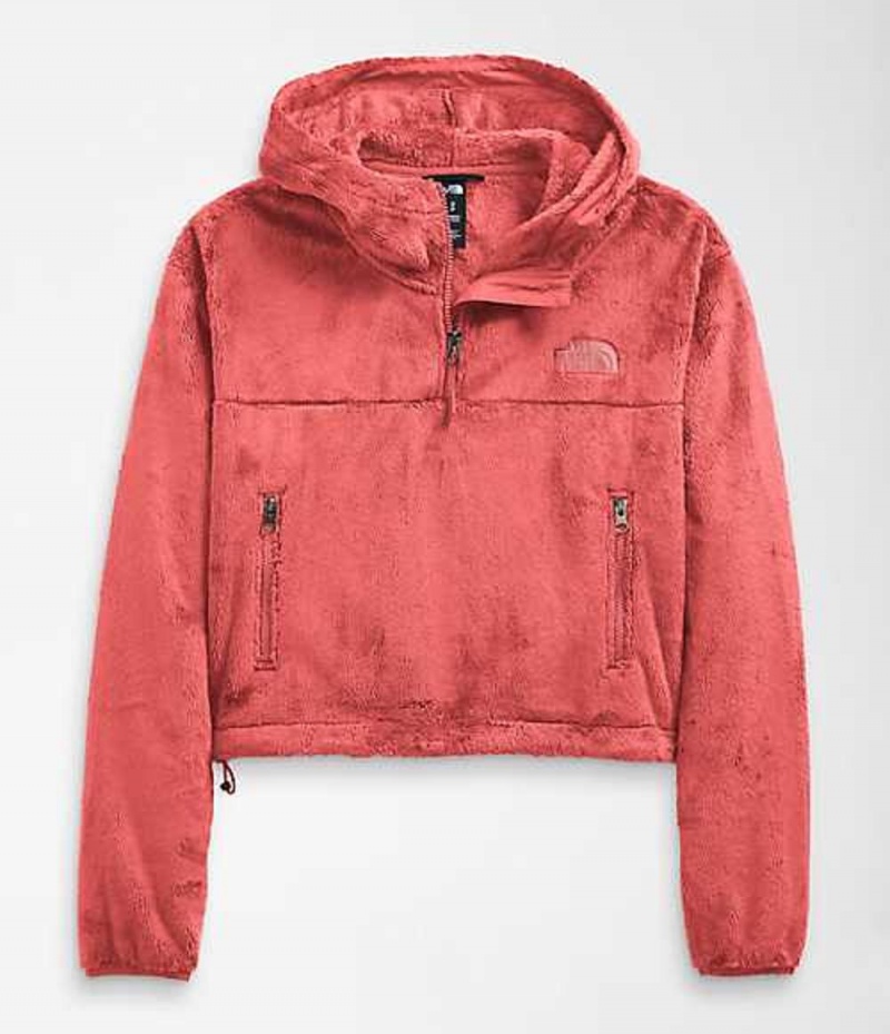 Sudadera con Capucha The North Face Osito Mujer Rosas | 4201579-NA