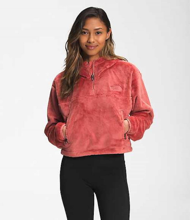 Sudadera con Capucha The North Face Osito Mujer Rosas | 4201579-NA