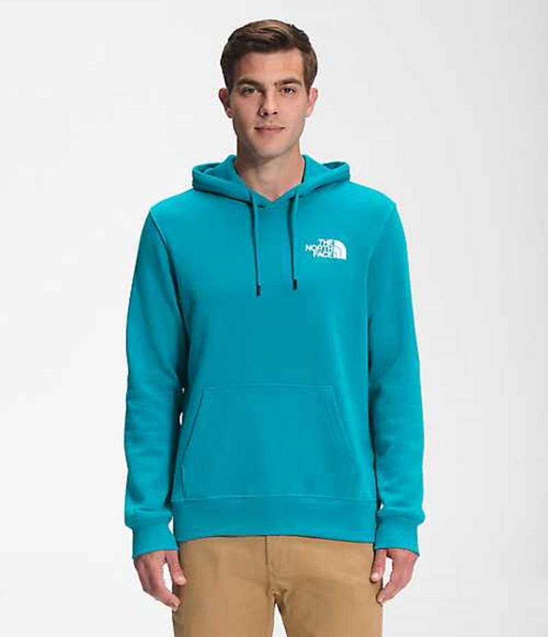 Sudadera con Capucha The North Face Parks Hombre Azules | 0469172-CO