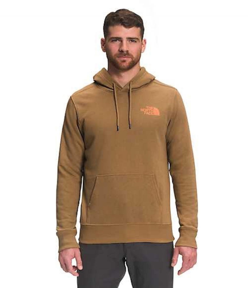 Sudadera con Capucha The North Face Parks Hombre Marrones | 8579061-SG