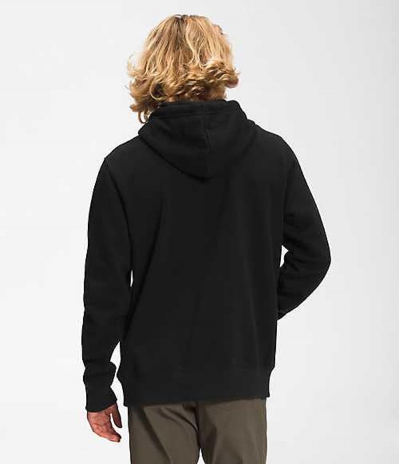 Sudadera con Capucha The North Face Red's Pullover Hombre Negras | 8604319-CW