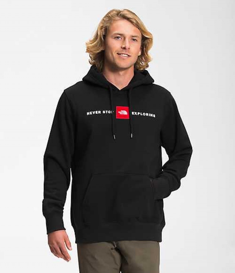 Sudadera con Capucha The North Face Red\'s Pullover Hombre Negras | 8604319-CW