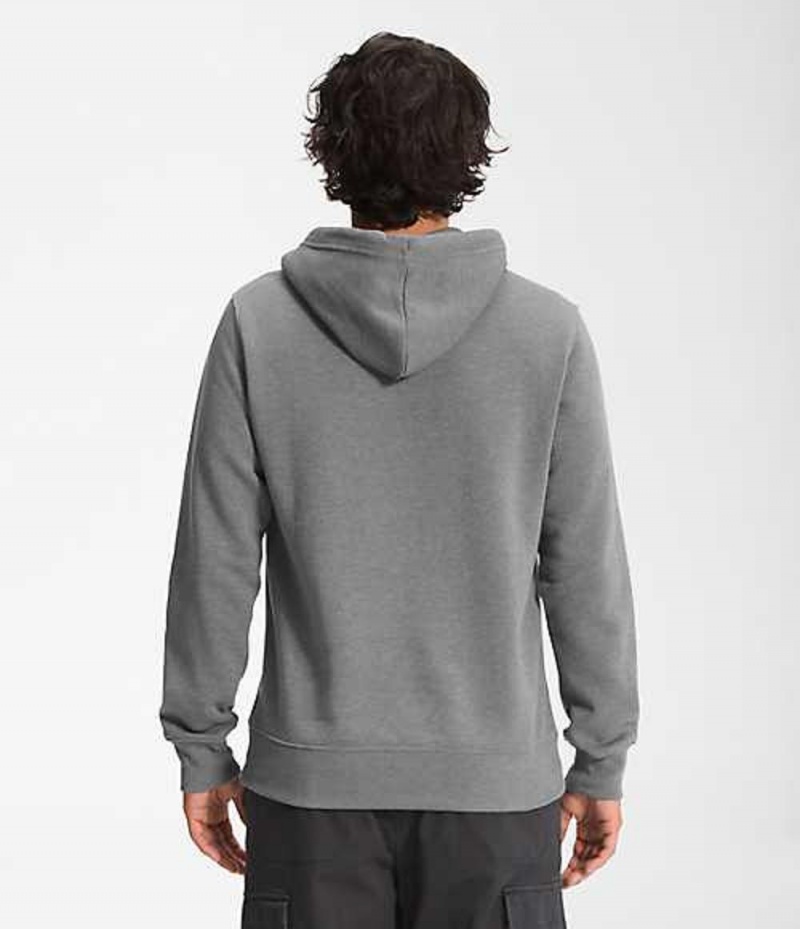 Sudadera con Capucha The North Face Red's Pullover Hombre Gris | 2148503-DH