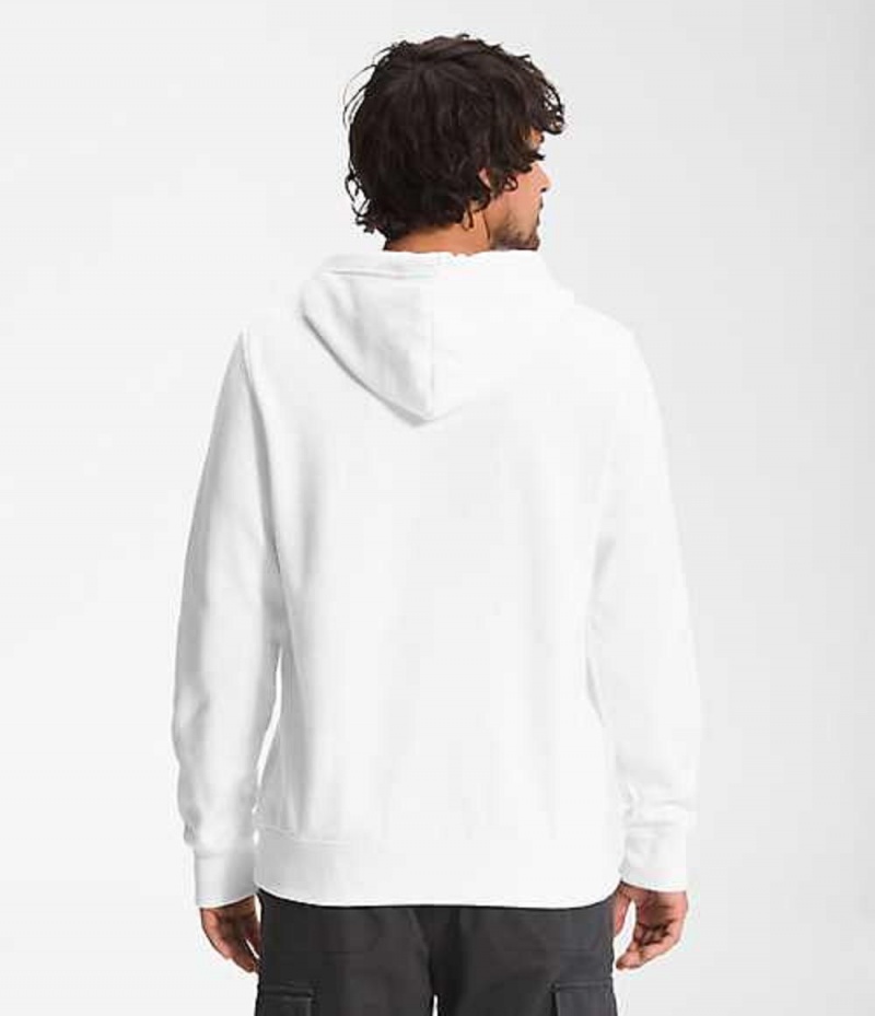 Sudadera con Capucha The North Face Red's Pullover Hombre Blancas | 8214973-QU