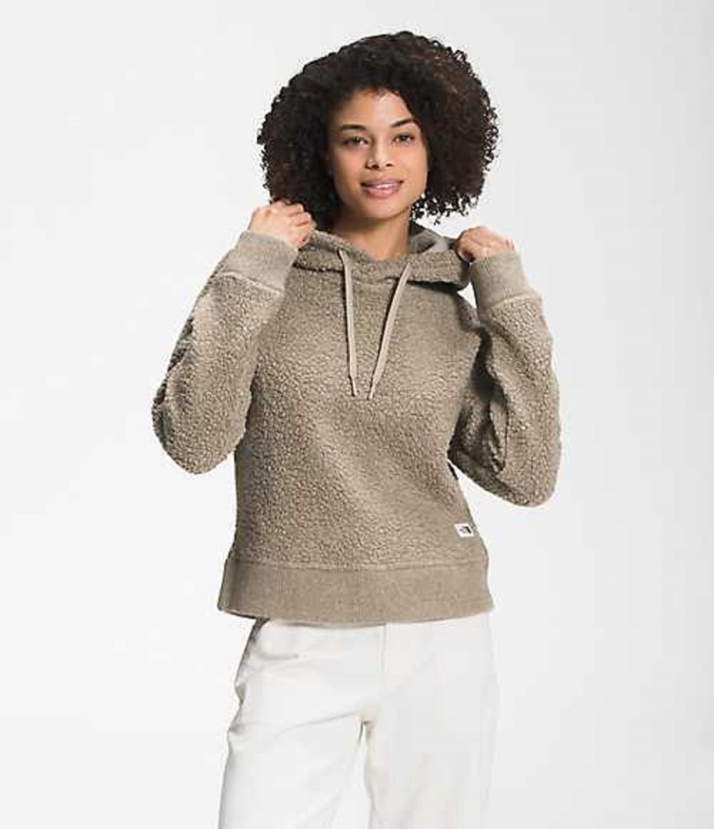 Sudadera con Capucha The North Face Wool Harrison Mujer Gris | 6014853-ND